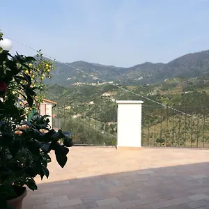 Levantotwo Bedrooms Flat With Terrace Apartment